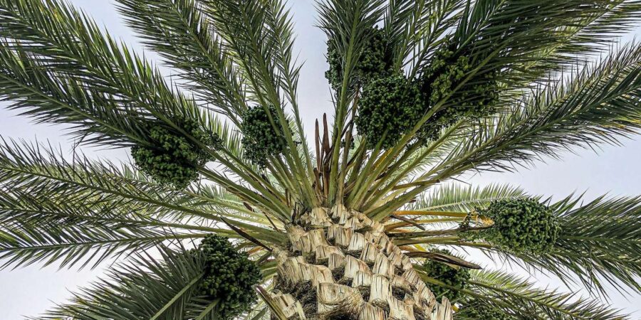 From Agadir : Private 4-Day To Marrakech Via Merzouga Desert