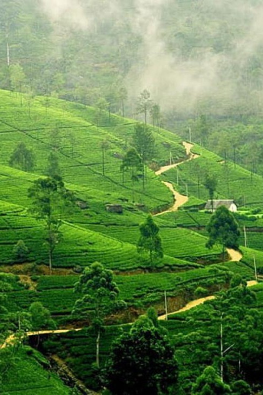 From Bangalore: 03 Days, Ooty Hill Station Luxurious Tour - Destination Details