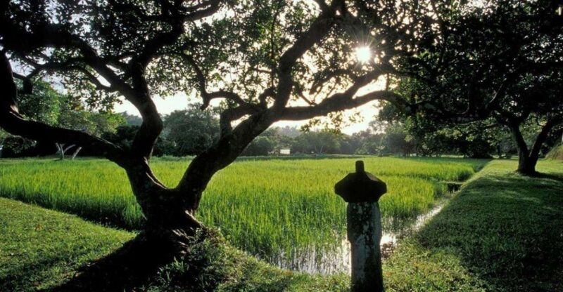 From Bentota/Beruwala: Lunuganga & Brief Garden Marvels Tour - Itinerary