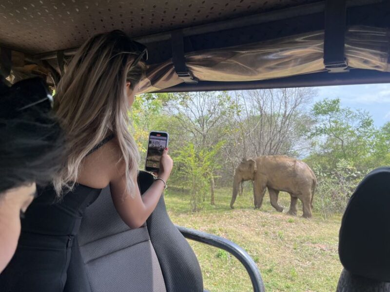 From Bentota: Udawalawa National Park Wildlife Safari - Itinerary Details