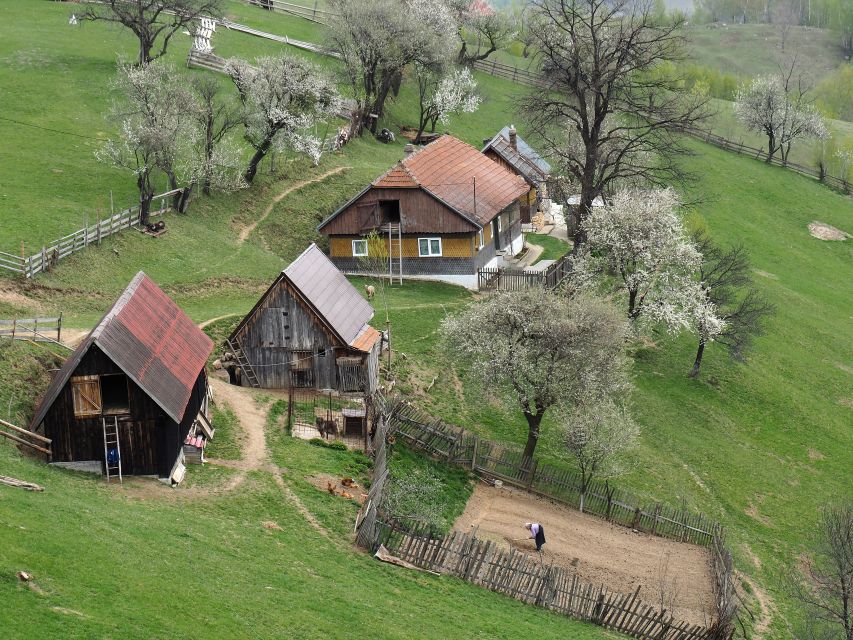 From Brasov: Romanian Mountain Villages Day Tour - Highlights of the Experience