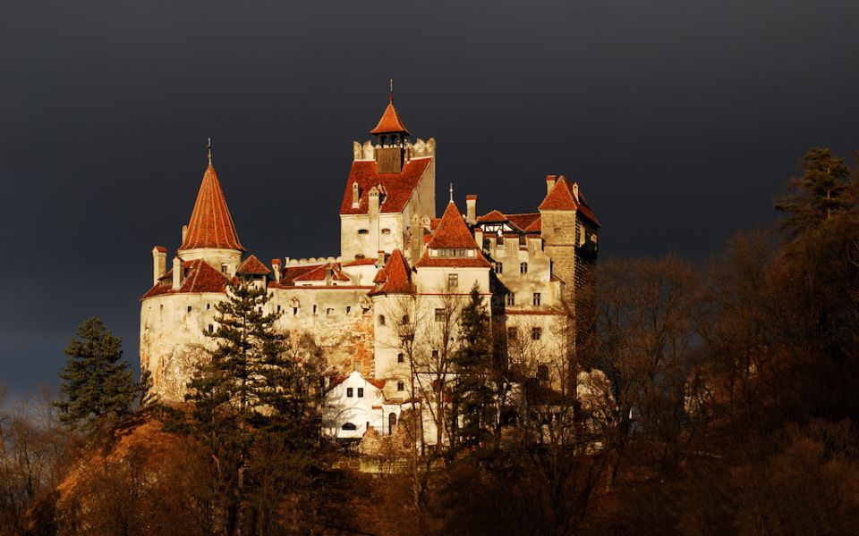 From Bucharest: Peleș and Bran Castles Private Tour - Pricing Details