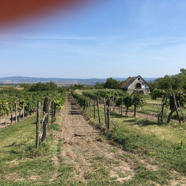 From Budapest: Etyek Half-Day Wine Tour - Itinerary Details