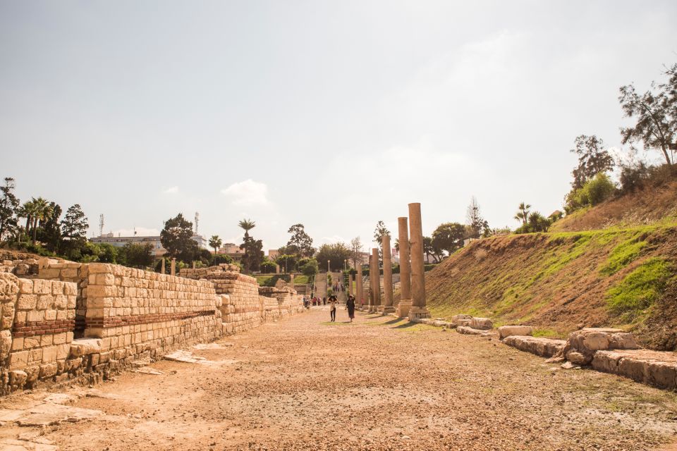 From Cairo Alexandria Catacombs, Citadel Day Trip With Lunch - Itinerary Highlights