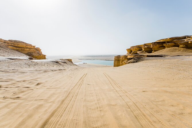 From Cairo: Desert Safari, Waterfalls, Sand Boarding and Camel Ride With Lunch - Traveler Recommendations and Ratings