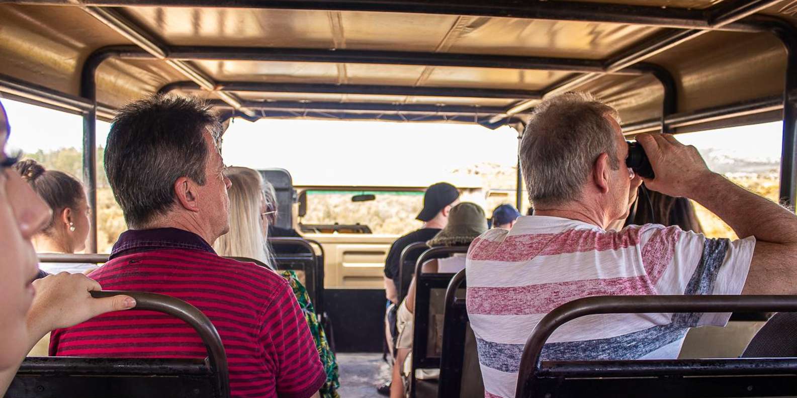 From Cape Town: Aquila Game Reserve Safari With Transfers - Pricing and Booking