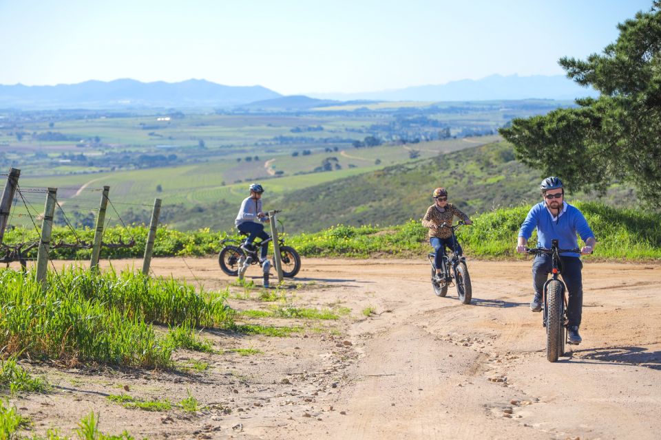 From Cape Town: E-Bike Winelands Tour - Cycling Through Picturesque Vineyards