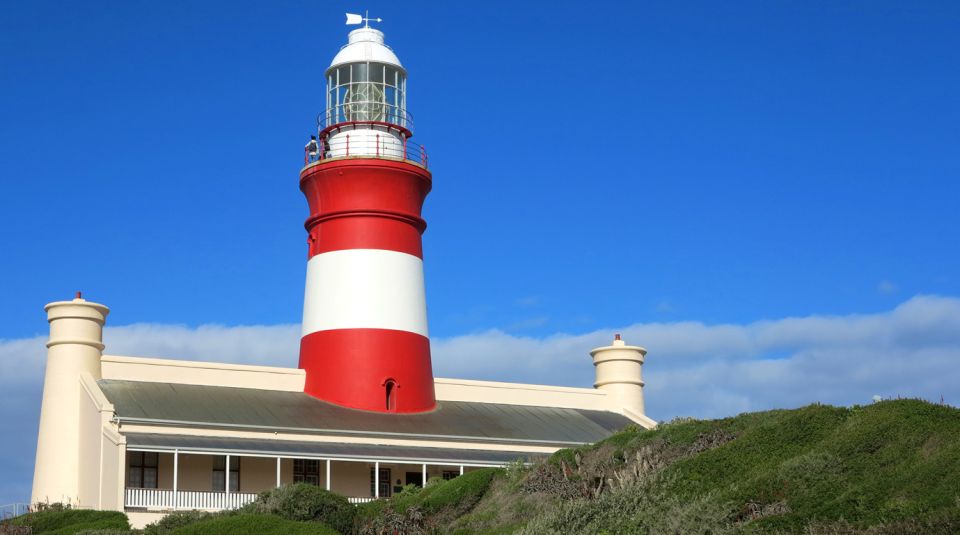 From Cape Town: Full-Day Cape Agulhas Private Tour - Itinerary Highlights