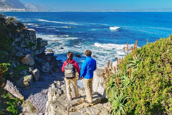 From Cape Town: Full Day Guided Hermanus and Whale Tour - Inclusions and Logistics