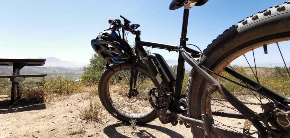 From Cape Town: Half-Day Winelands E-Bike Tour - Sampling Renowned Winemaking Region