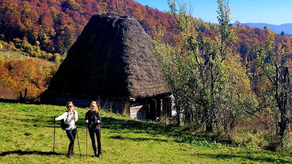 From Cluj-Napoca: Apuseni Mountains Hiking Guided Day Tour - Hiking Experience