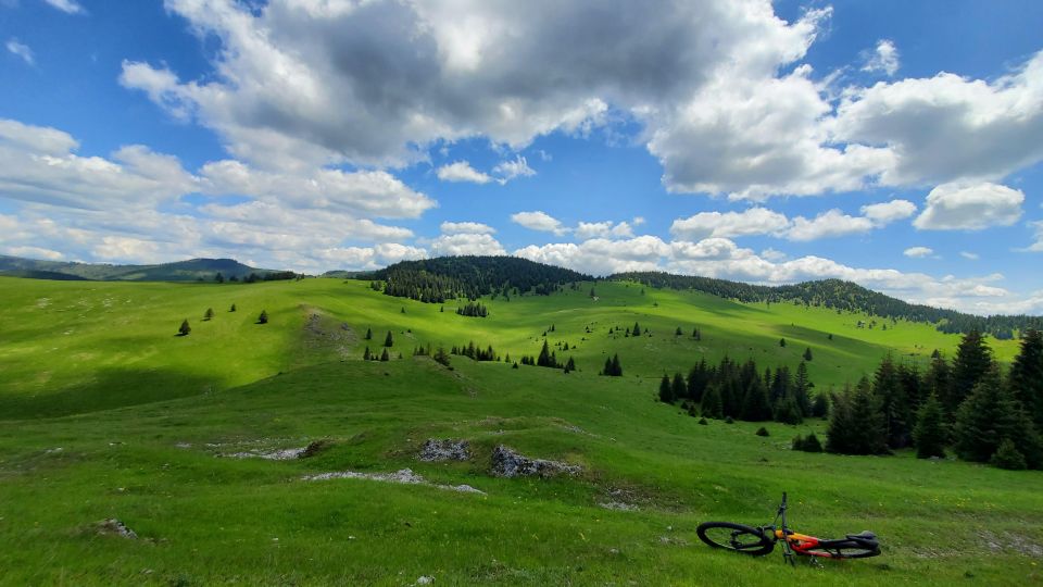 From Cluj-Napoca: Carpathian Mountains Guided Scenic Hike - Itinerary and Route