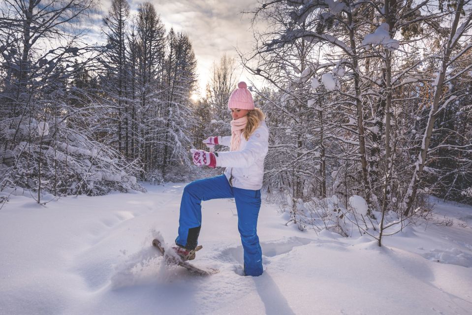 From Cluj: Winter Walking Trip on the Great Mountain - Experience Highlights