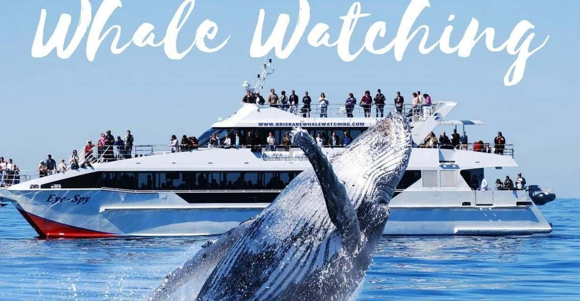 From Colombo/Bentota/Galle to Whale Watching Mirissa Daytour - Inclusions and Fees