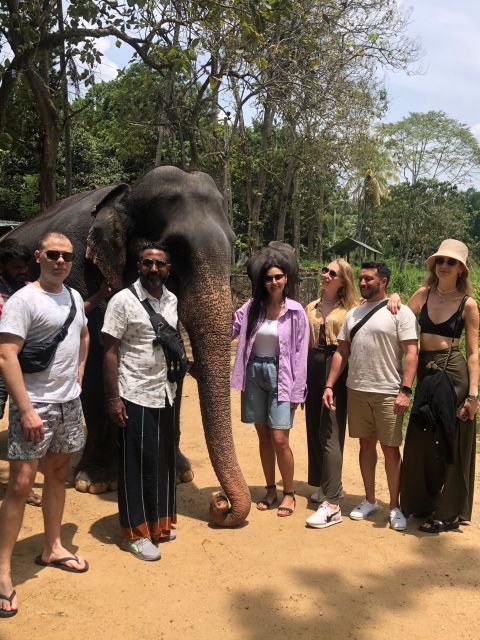 From Colombo : Kandy Privet Full Day Tour With Pinnawala - Itinerary Highlights