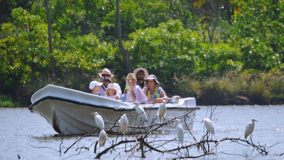 From Colombo: Negombo Lagoon (Mangrove )Boat Excursion - Itinerary and Experience