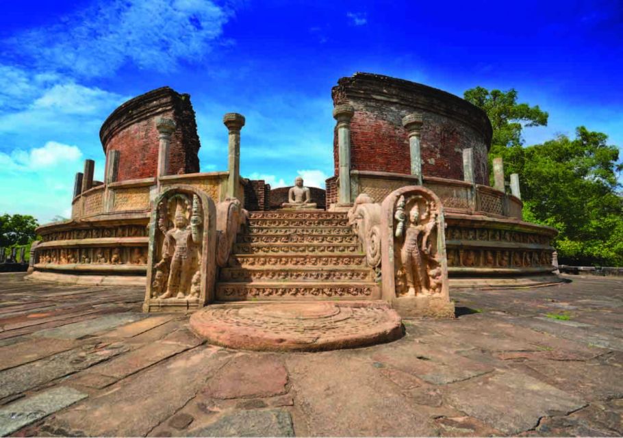 From Dambulla: Private Polonnaruwa and Minneriya Day Tour - Itinerary and Highlights