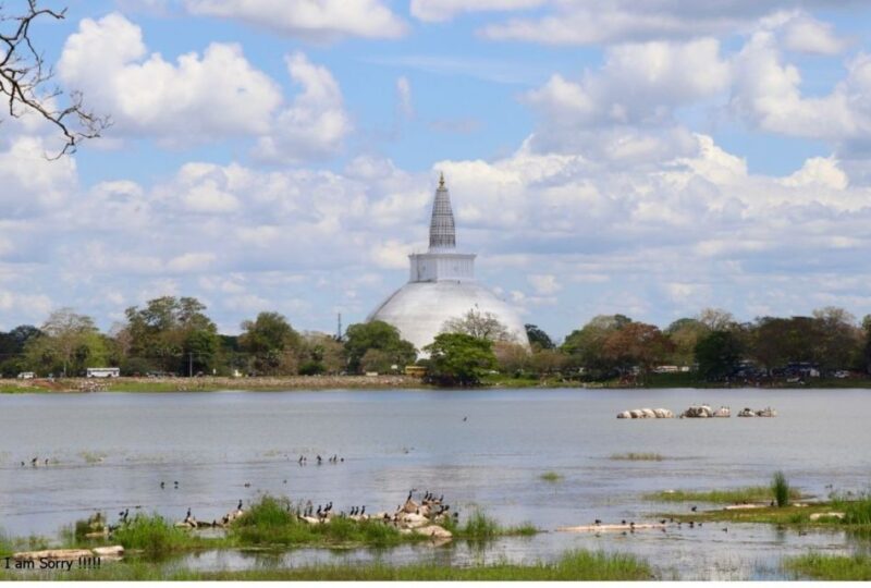 From Dambulla/Sigiriya: Ancient City of Anuradhapura by Bike - Highlights of Anuradhapura
