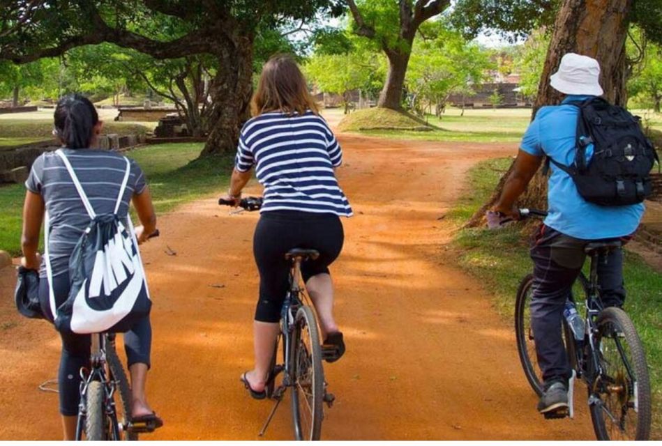 From Dambulla/ Sigiriya: Ancient City of Polonnaruwa by Bike - Itinerary Highlights