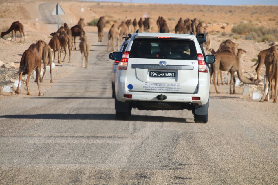 From Djerba: Night at the Desert Camp Ksar Ghilane - Itinerary Highlights