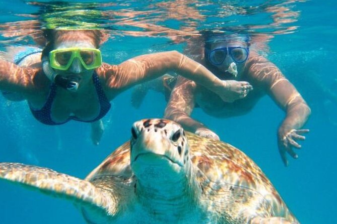 From Dubai: Snorkeling Trip in Fujairah - Tour Inclusions and Amenities