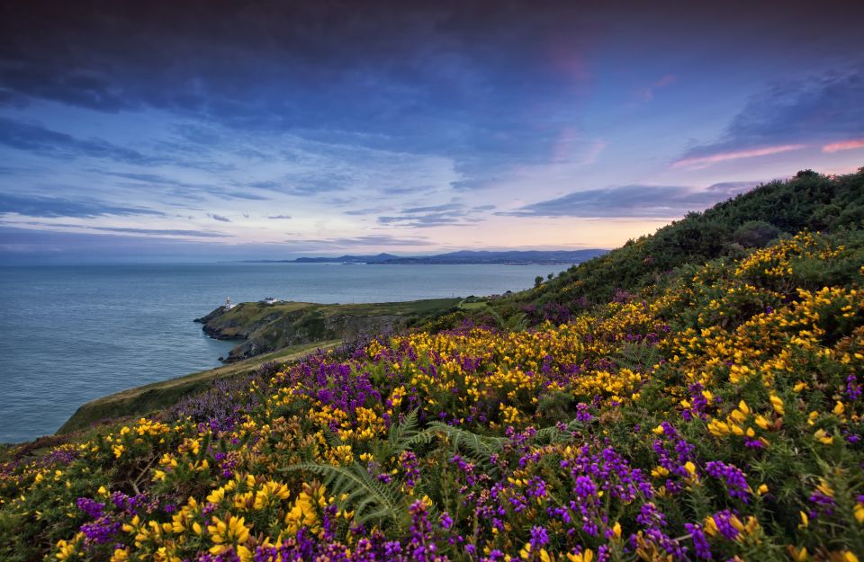 From Dublin: Half-Day Guided Coastal Tour to Howth Village - Itinerary Highlights