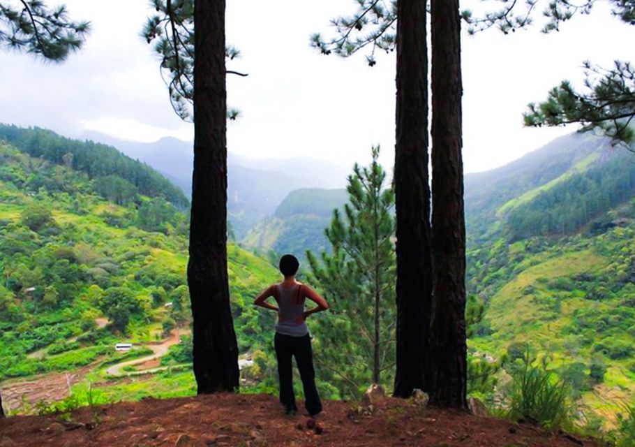 From Ella: Bambarakanda & Lanka Ella Falls Hike With Lunch - Inclusions