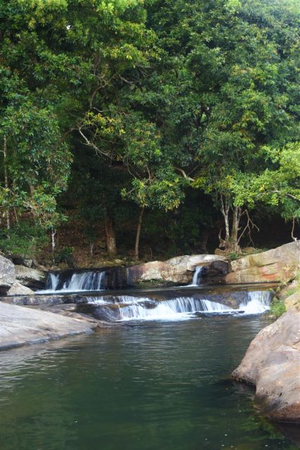 From Ella: Diyaluma Waterfall & Natural Pool Bath With Lunch - Itinerary