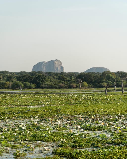 From Galle/ Mirissa/ Hikkaduwa - Yala National Park Safari - Pickup and Transportation