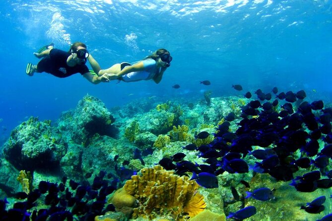 From Gili Trawangan: Island Hopping Snorkeling Trip - Meeting Points and Pickup