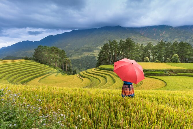 From Hanoi: 3 Days Sapa Trekking & Ethnic Villages by Dcar - Accommodation Options
