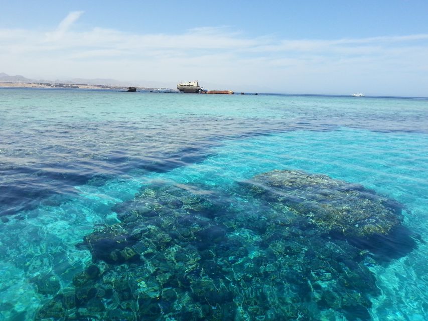 From Hurghada: Scuba Diving With Expert Guide & 2 Dives - Detailed Itinerary