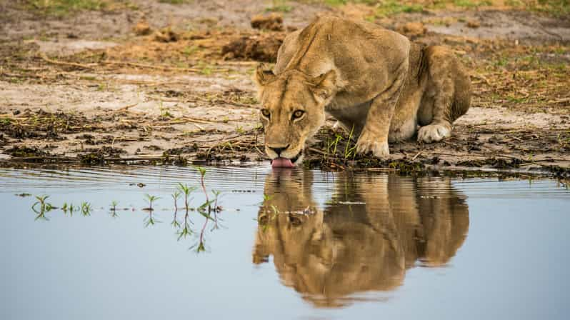 From Johannesburg: 3-Day Kruger National Park Safari - Inclusions and Experience Highlights