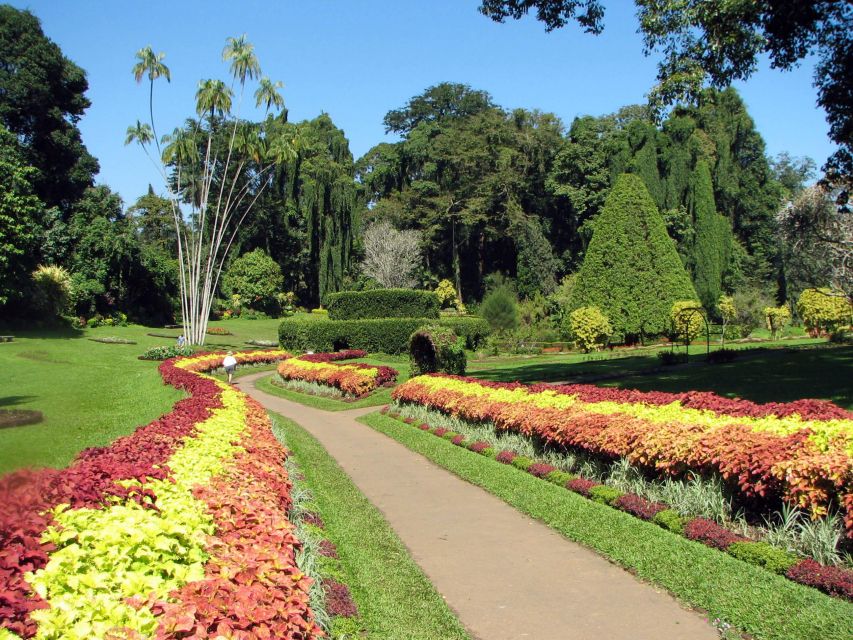 From Kandy: Pinnawala and Botanical Garden Tour By Tuk Tuk - Itinerary Highlights