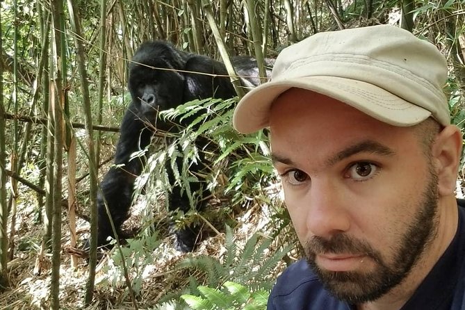 From Kigali: 10 Hour Day-Trip Rwanda Gorilla Trekking With Lunch - Logistics and Restrictions