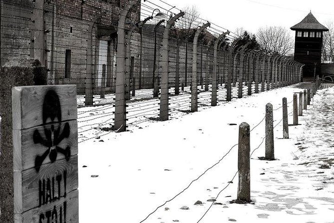 From Krakow: Auschwitz-Birkenau Regular Tour - Private Chauffeur - Transportation Details