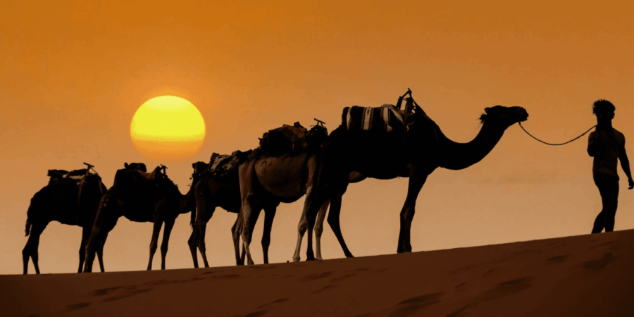 11 Best 3 Day Tours In Sahara Desert Morocco
