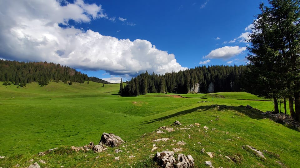 From Oradea:Carpathian Mountains Guided Scenic Hike - Itinerary Highlights