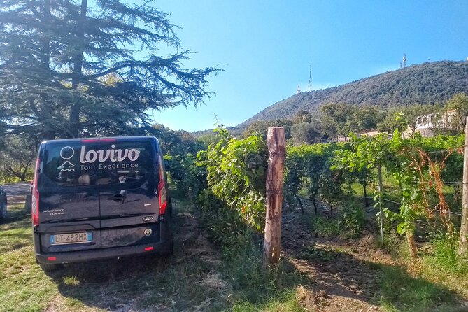 From Padua, Wine Tour in the Euganean Hills - Guided Tour of the Region