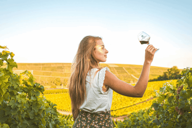 From Paris: Private Sancerre Wine Tour W 10 Tastings & Lunch - Transportation and Comfort