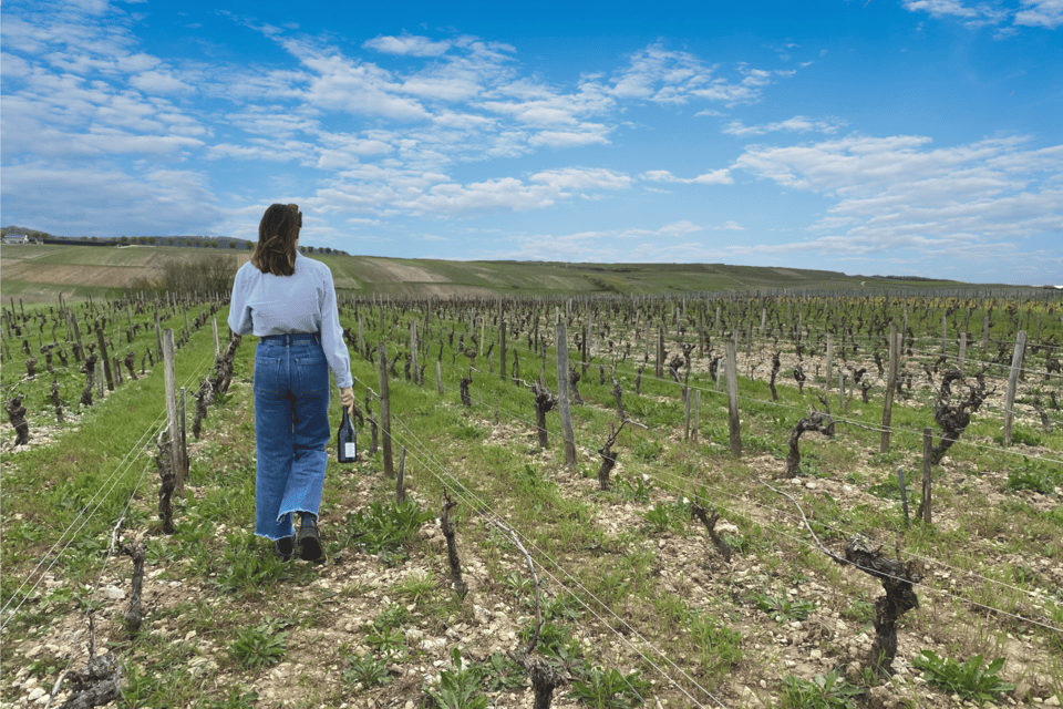 From Paris: Wine Day Trip to SANCERRE W 10 Tastings & Lunch - Important Information