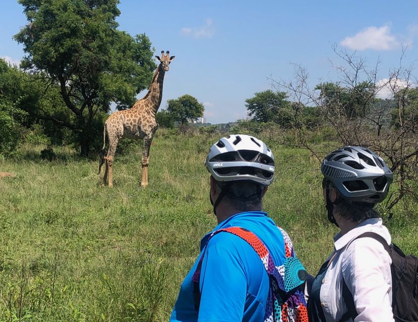 From Pretoria: E-Bike in the Wild With Game Near Joburg - Booking and Reservations