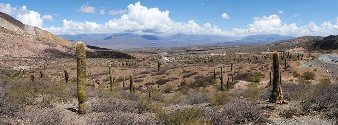 From Salta: Full-Day Tour to Cachi and Los Cardones National Park - Pickup Information