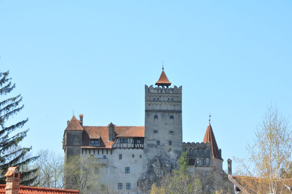 From Sibiu: Day Tour to Brasov and Draculas Castle - Tour Overview