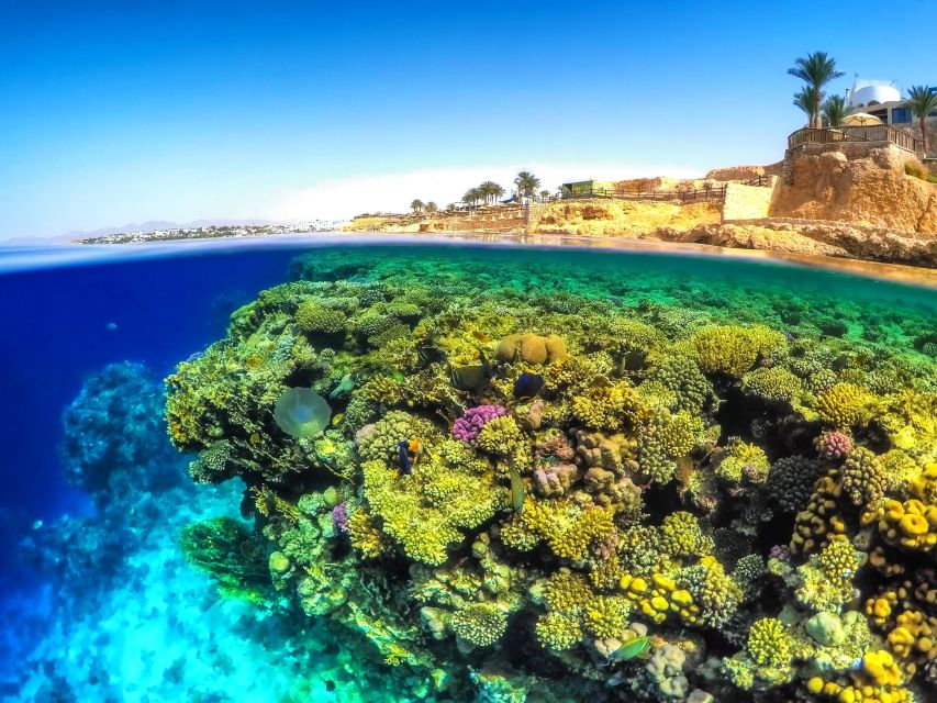 From Soma Bay and Makadi: Sharm El Naga Snorkeling Trip - Itinerary Details