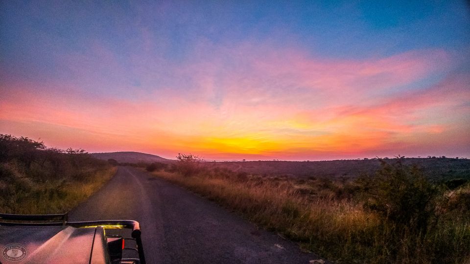 From St Lucia: Isimangaliso Sunset Safari - Pricing and Booking Details