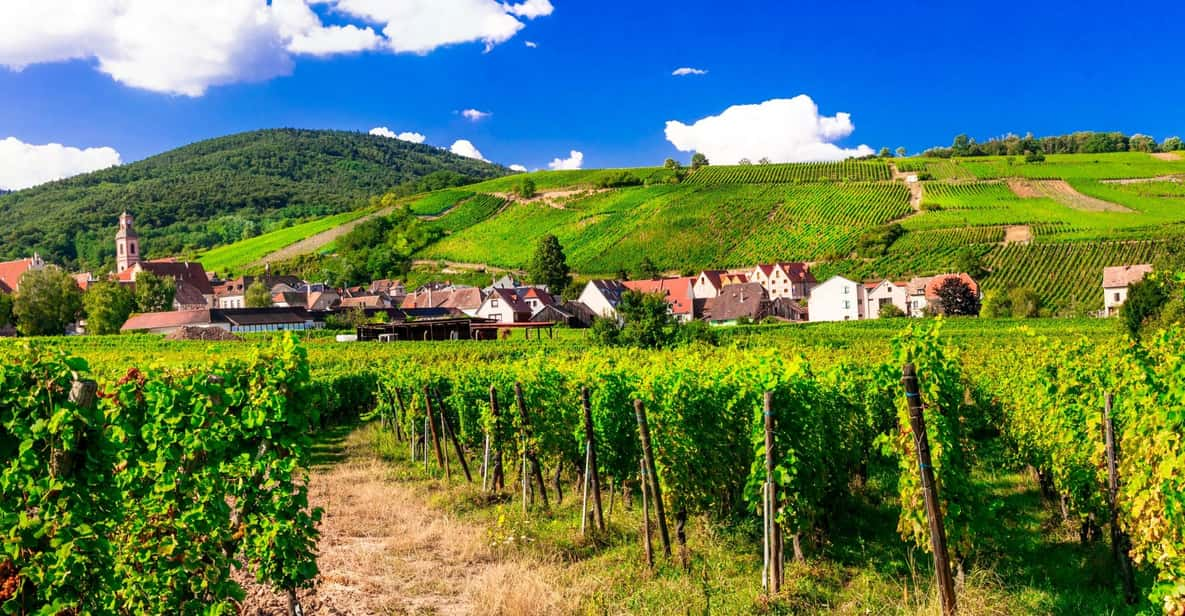 From Strasbourg: Half-Day Tour of Alsace Villages - Itinerary Highlights