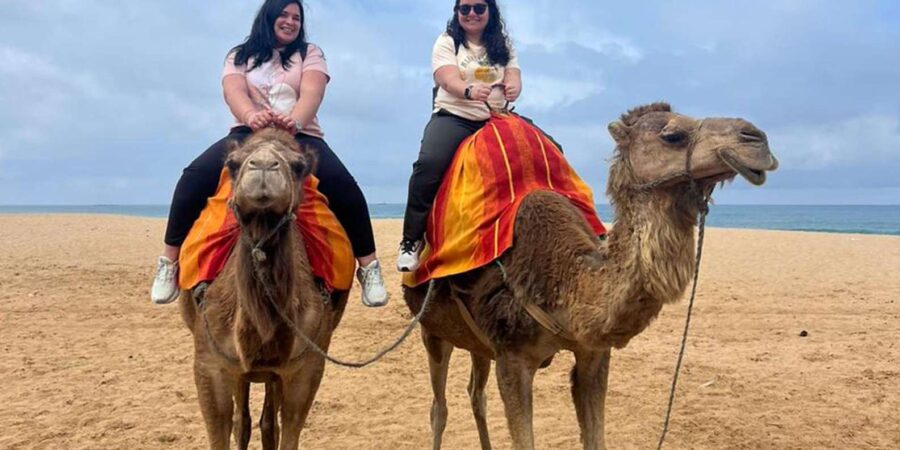 From Tarifa: 2 Days 1 Night to Chefchaouen All Inclusive - Tour Highlights