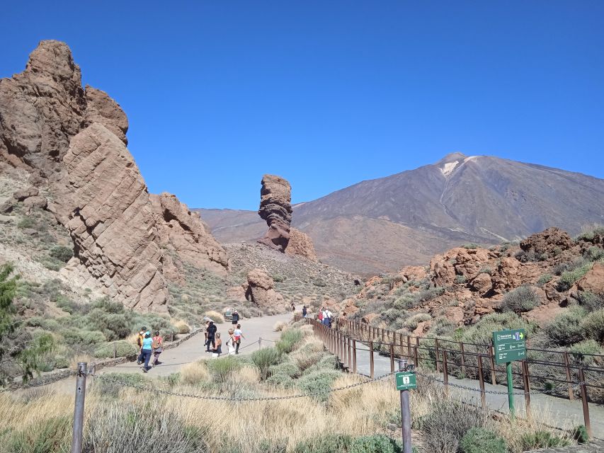 From Tenerife: Teide National Park Guided Day Trip by Bus - Flora, Fauna, and Landscapes