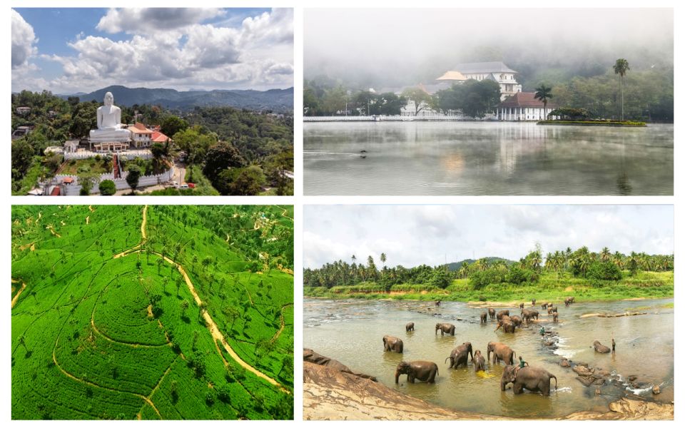 From West Coast: Kandy, Pinnawala, Botanical & Tea Gardens - Itinerary Highlights